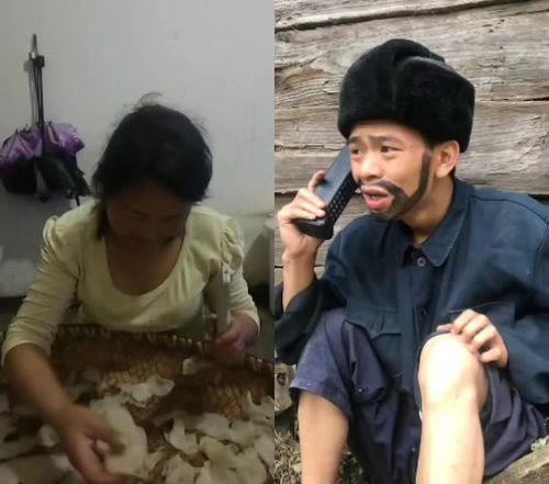 和王羽锅同框个 4月前