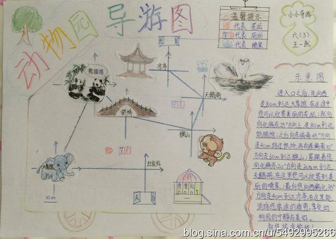 动物园导游图学生作品