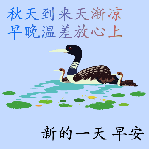 祝福好运的早安动态表情包日常早上好动态祝福图片