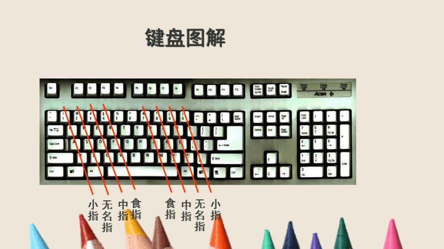 浙摄影版(2020) 信息技术三年级上册 第14课 键盘指法