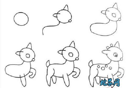 梅花鹿简笔画图片大全7