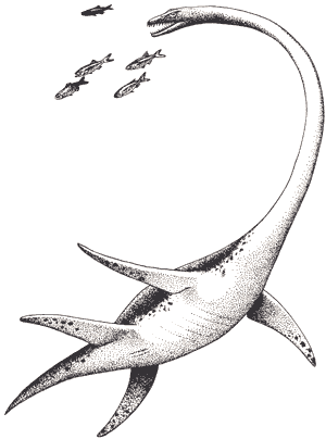  p>薄片龙是晚期 a target="_blank" href="/item/蛇颈龙类/7554264"