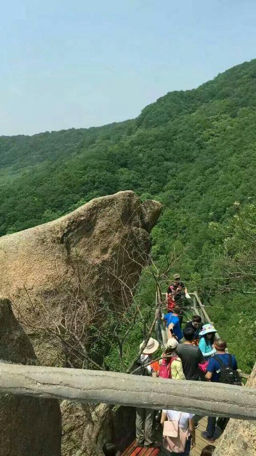 近日《登吉林朱雀山国家森林公园~体验悬挂崖壁小玻璃