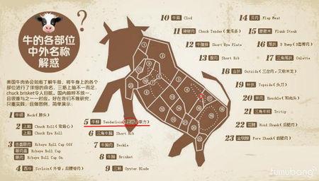 牛里脊在哪部位图解