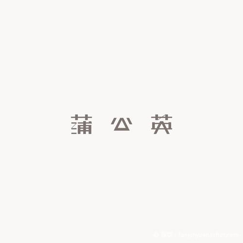 蒲公英