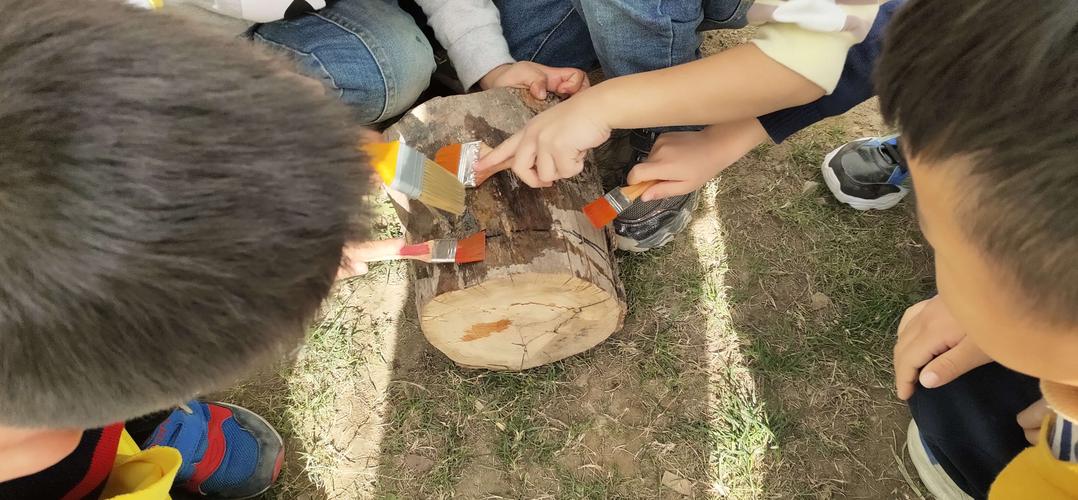 锦绣江南幼儿园大一班:认识树根