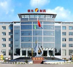 山西振东实业集团有限公司