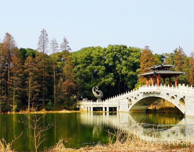 武汉有一绝美湖景,面积是杭州西湖的6倍,门票免费风景不输西湖