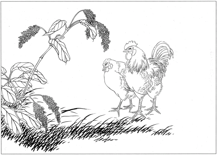 鸡白描工笔画底稿pdf9页