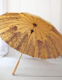 老式雨伞