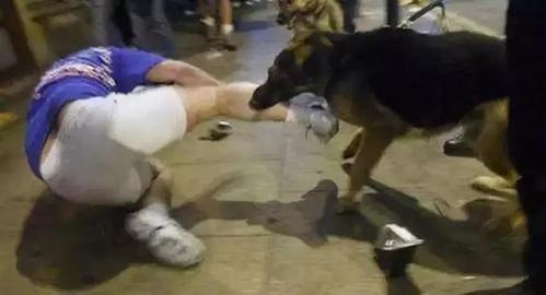 流浪狗咬人致其狂犬病身亡好心收留者被索赔32万