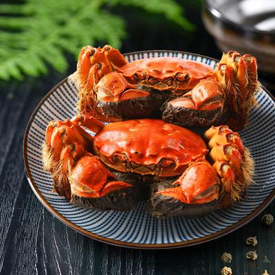 大闸蟹鲜活螃蟹特大全母蟹淡水河蟹公湖蟹现货团购10