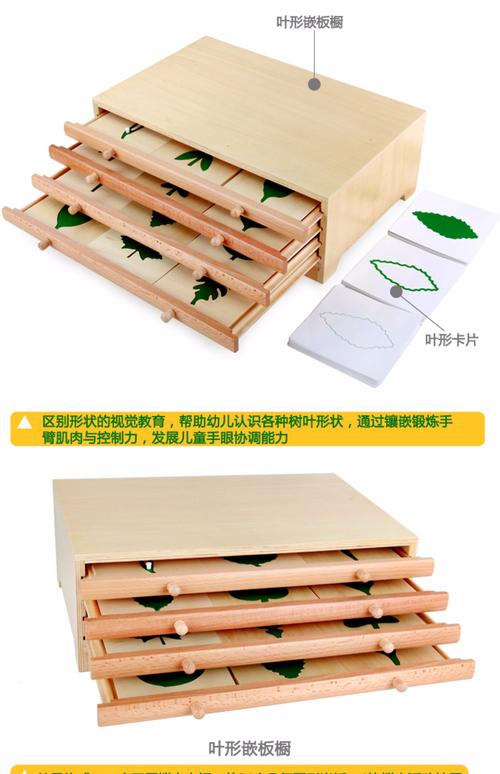 蒙台梭利蒙氏科学文化教具幼儿园早教玩具 叶形卡片柜 树叶纸卡片_7折