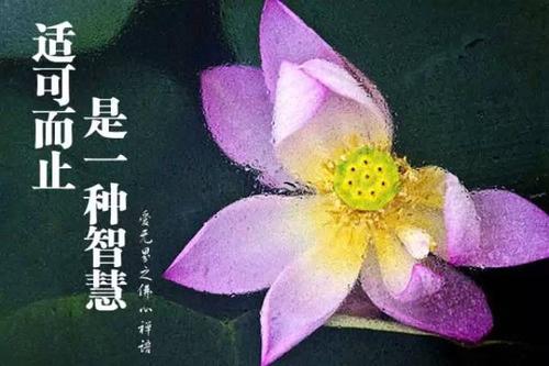 适可而止是一种智慧