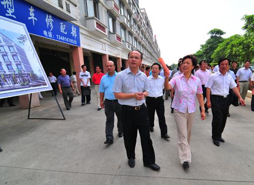 陈际瓦副书记(中)考察平果县城城乡风貌改造