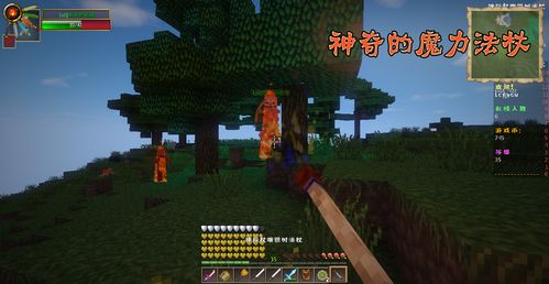 我的世界magicrace魔法族_地址_整合包_麦块