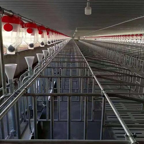 养猪场全自动喂料装置定制猪场自动饲料上料线养猪自动供料设备加工