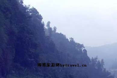 绥江县景点