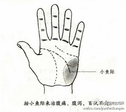 小鱼际的介绍