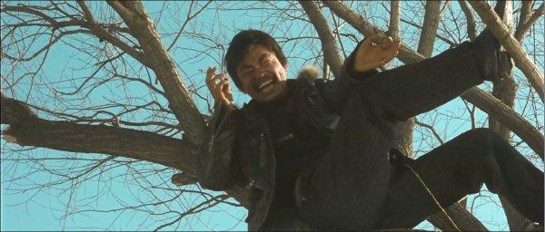 hello!树先生