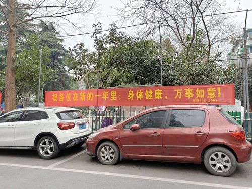 暖灯笼,拉红横幅……濮家联合社区张灯结彩过新年