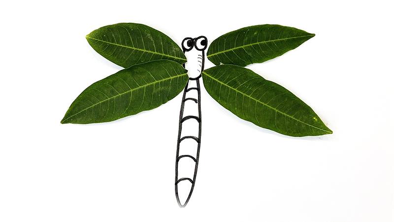 树叶贴画蜻蜓的制作方法