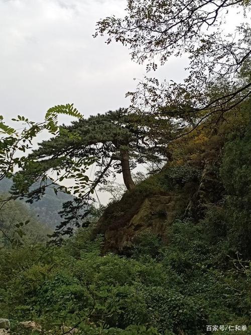 暮色苍茫看劲松,乱云飞渡仍从容