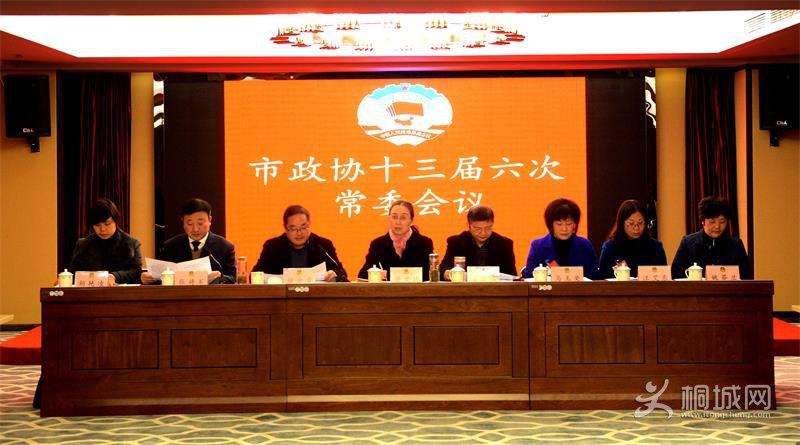 桐城市政协十三届六次常委会议召开