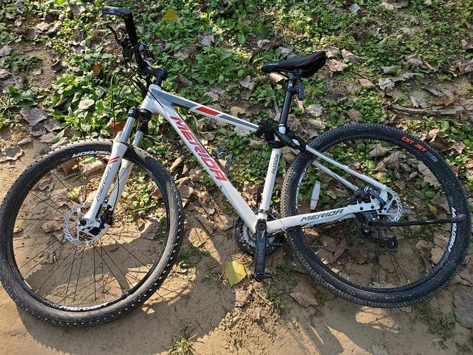 20款美利达公爵600想出能卖多少