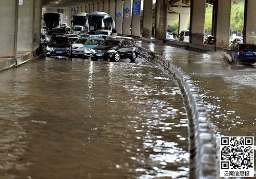 一夜暴雨 昆明n处淹水 多处隧道有车辆沦陷[图]
