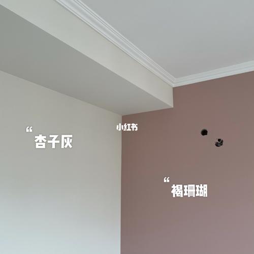 立邦褐珊瑚太美了