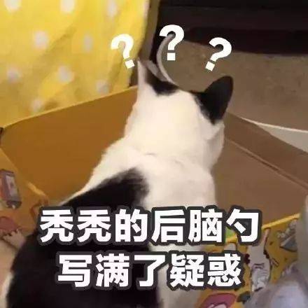 表情包丨我二十岁,我好累