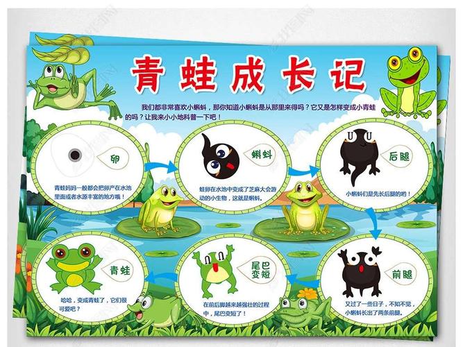 【青蛙呱呱】——中班一周小记