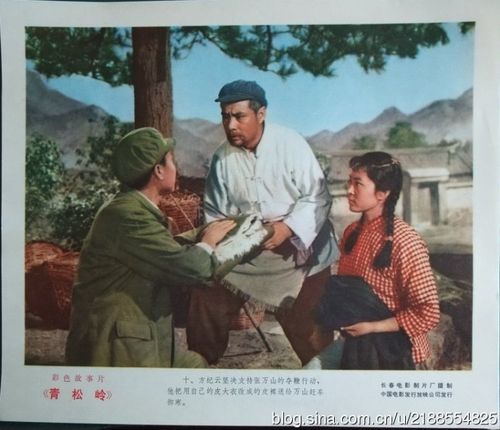 农村电影《青松岭》