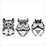 3只黑白猫头鹰