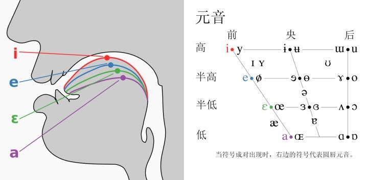 元音[i, e,   a]的舌位图以及在元音表中的位置