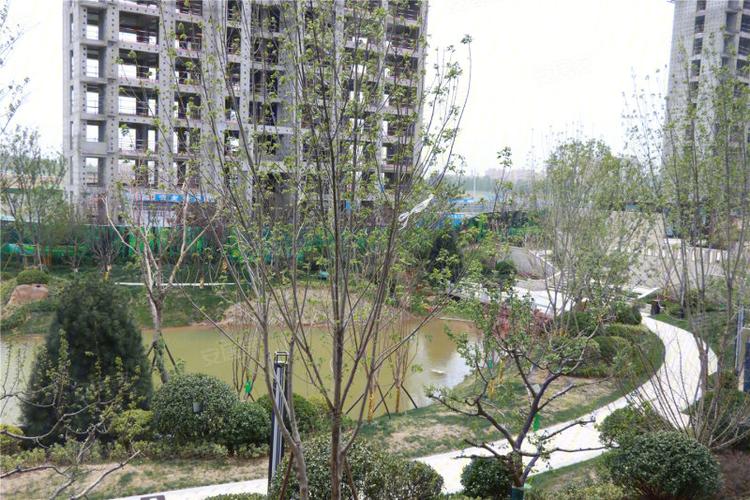 济南楼盘 商河楼盘 北纬37度
