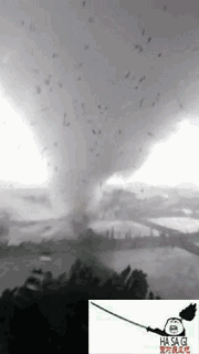 lol面对疾风系列表情包