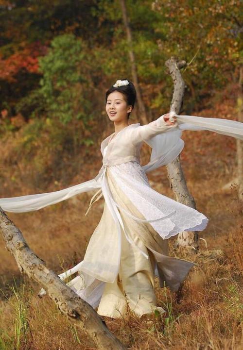 辛十四娘