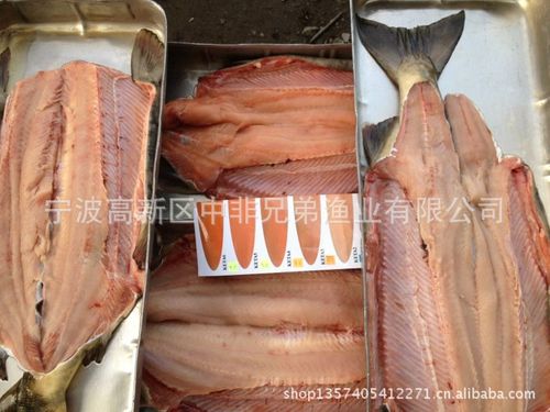 俄罗斯大马哈鱼 chum 狗鲑 粉鲑