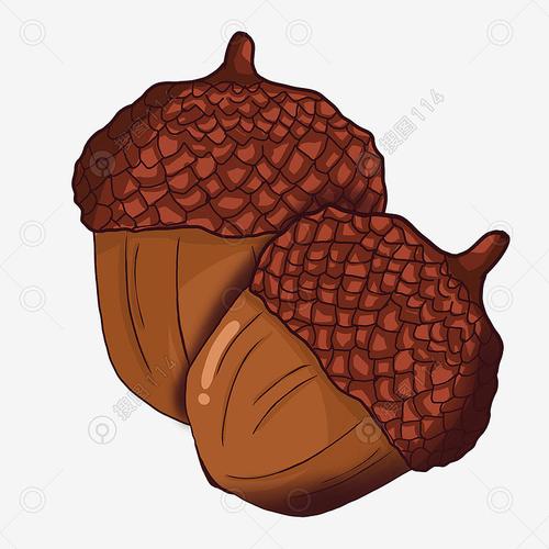 标签:手绘秋冬季松果松树果实松果卡通松果树木果实两颗松果手绘松果