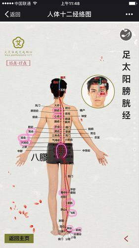 人体十二经络与任督二脉