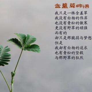 含羞草女主播 情感修炼课程(三)如何激励你的爱人  2017-07-24