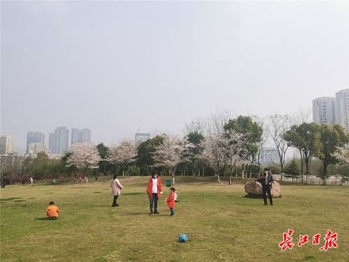 近日,网民吴先生在长江网武汉城市留言板留言,建议墨水湖公园打造儿童