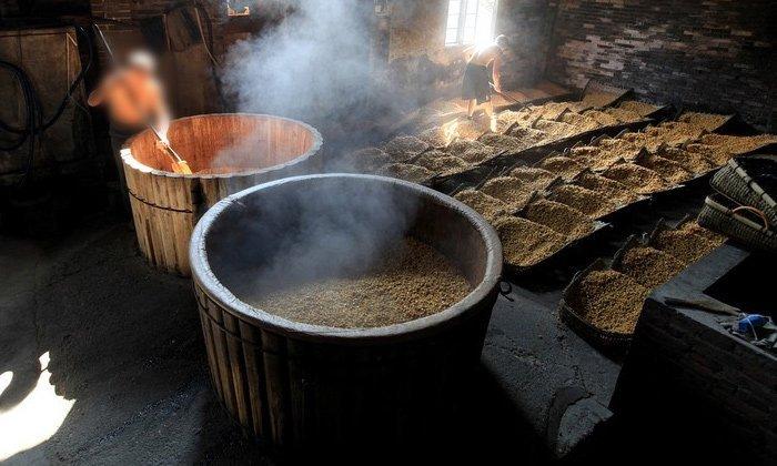 贵州纯粮玉米酿酒人 为何选择雅大固态白酒生产设备?