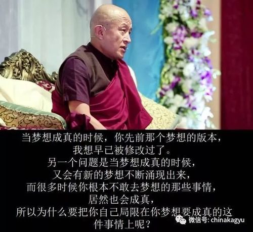 宗萨蒋扬钦哲仁波切 | 活在当下,不要把自己局限在梦想上