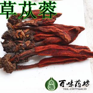 野生不老草 顶天柱回春草 草苁蓉 500g