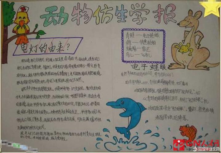 四年级仿生学手抄报