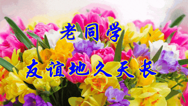 友情万岁,感情长留