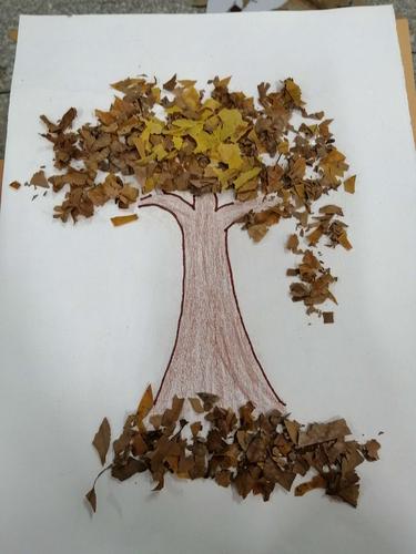 在这个充满收获的季节里,我们也大显身手,去寻找了秋天的制作了手工